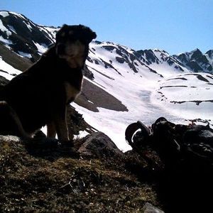 Meet your Posher, Janice